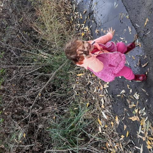 Photo #3702105