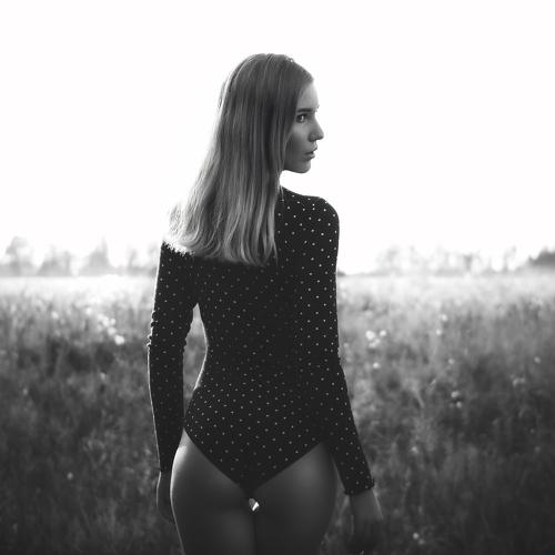 Photo #3702384