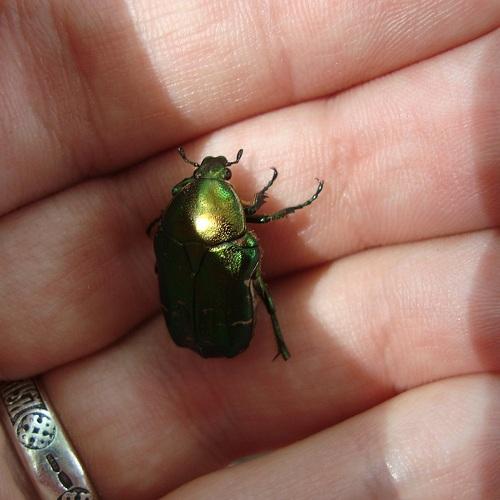 Photo #3702528