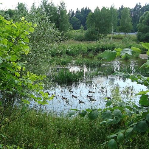 Photo #3702627