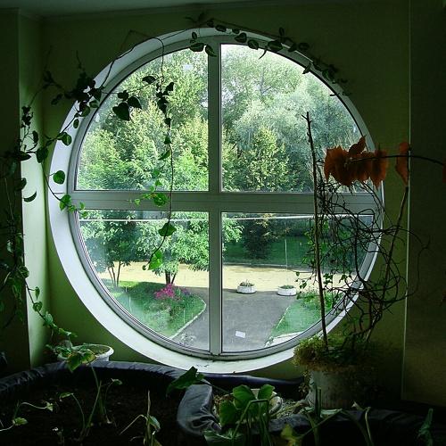 Photo #3702726
