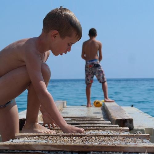 Photo #3702753
