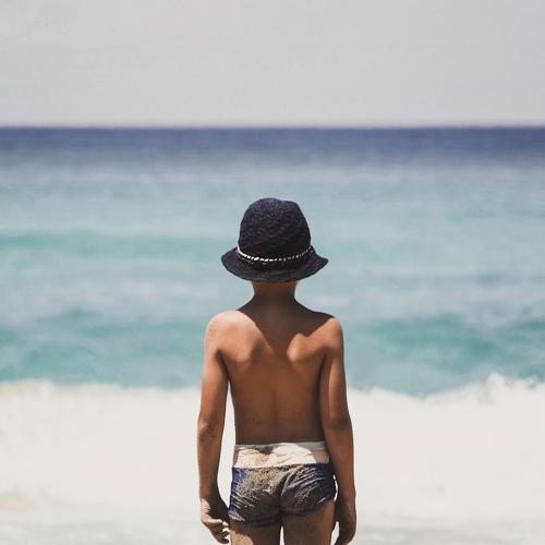 Photo #3702755