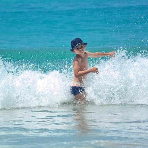 Photo #3702757