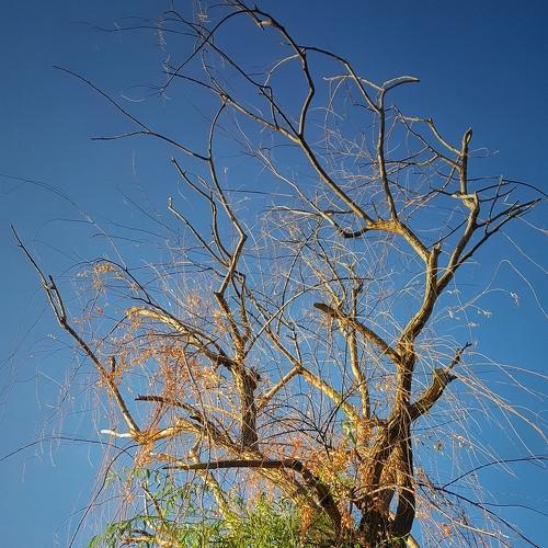 Photo #3702905