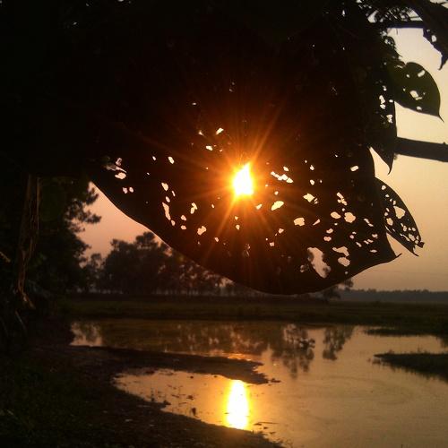 Photo #3703396