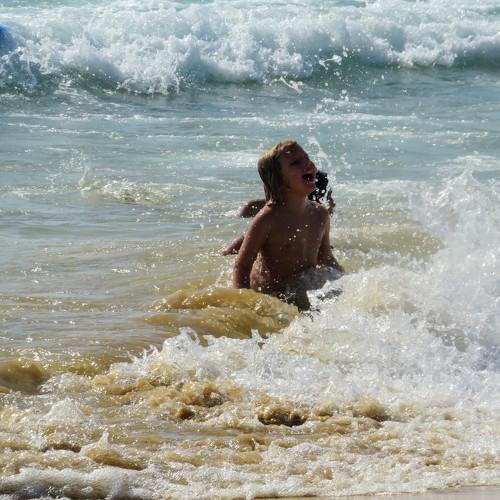 Photo #3703598
