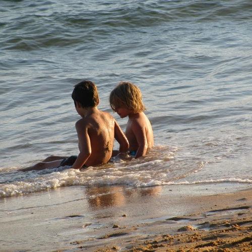 Photo #3703615