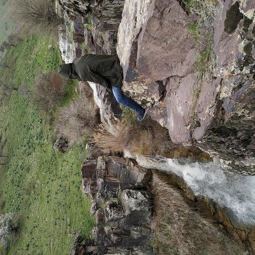 Photo #3704083