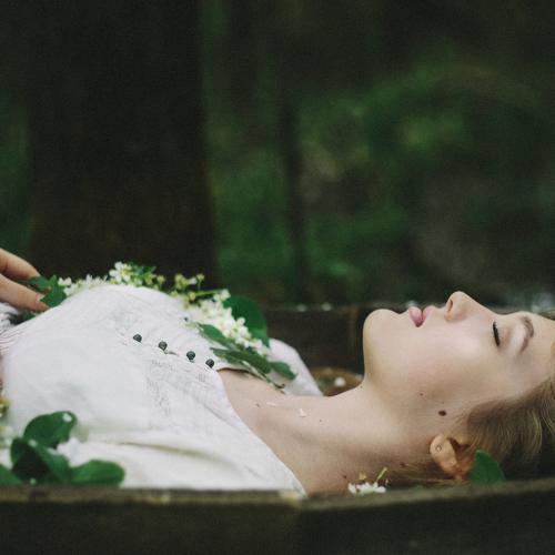 Photo #3704237