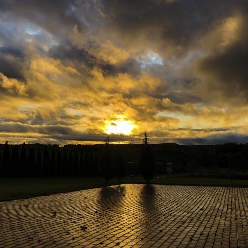 Photo #3704296