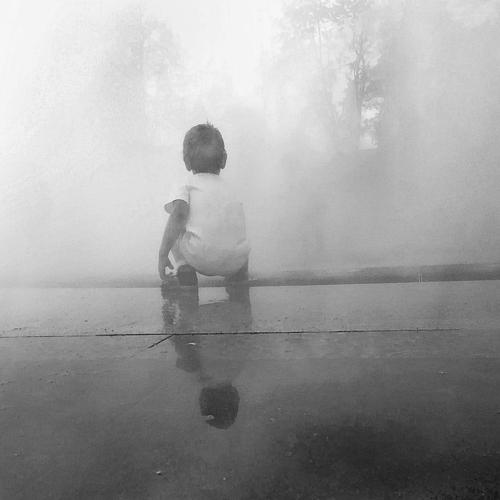 Photo #3704332