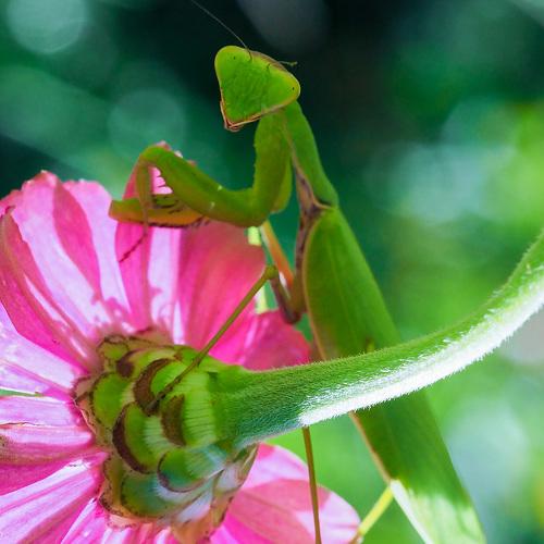 Photo #3704360