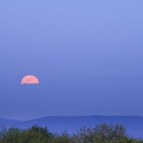 Spring moon rise