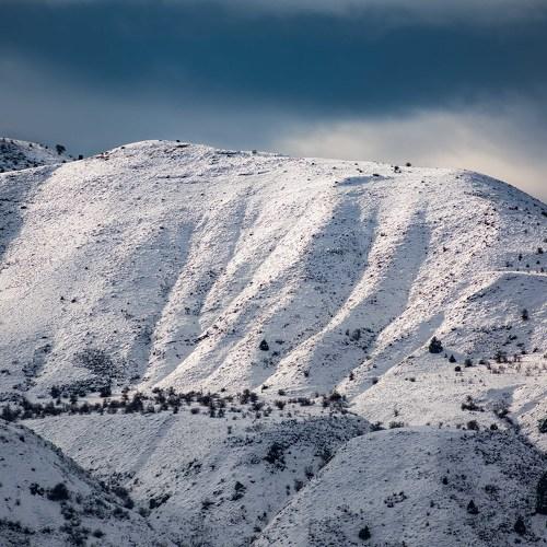 Photo #3704739