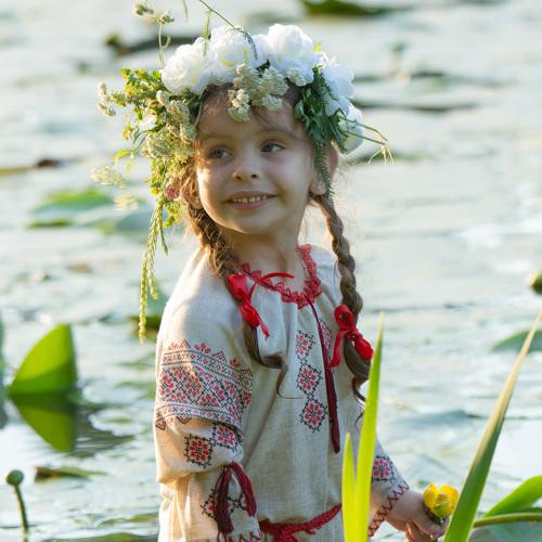 Photo #3706334