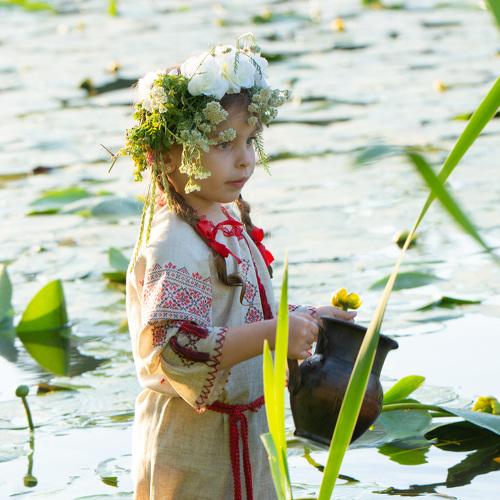 Photo #3706345