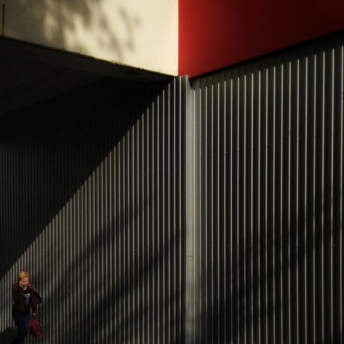 Photo #3706433
