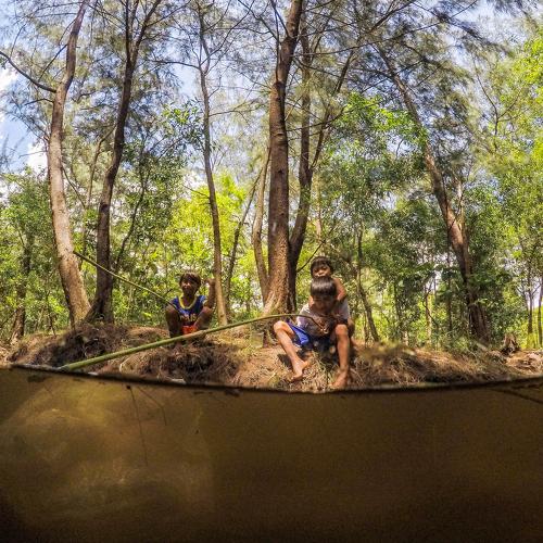 Photo #3706761