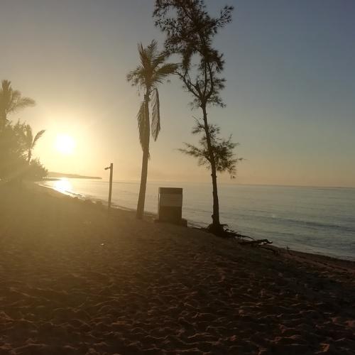 Photo #3707112