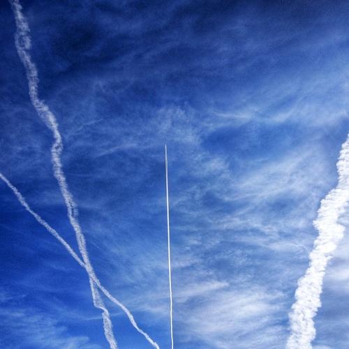 Photo #3707591