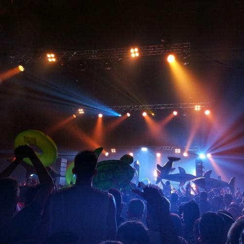 Photo #3707601