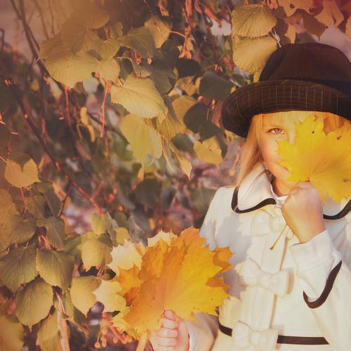 Photo #3708069