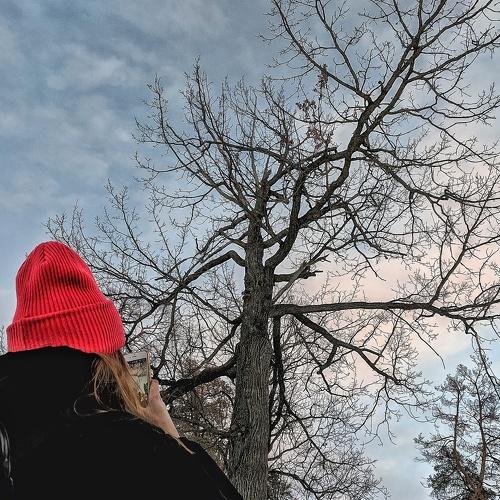 Photo #3708224