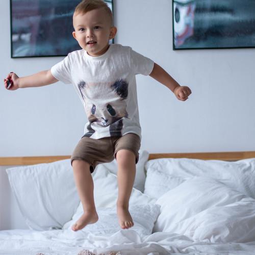 Photo #3708820