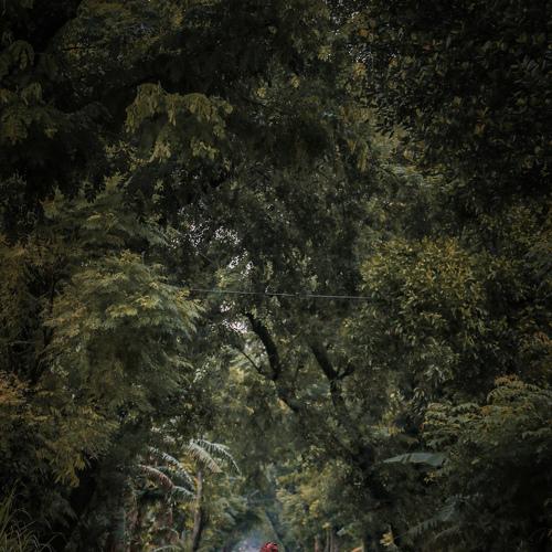 Photo #3709822