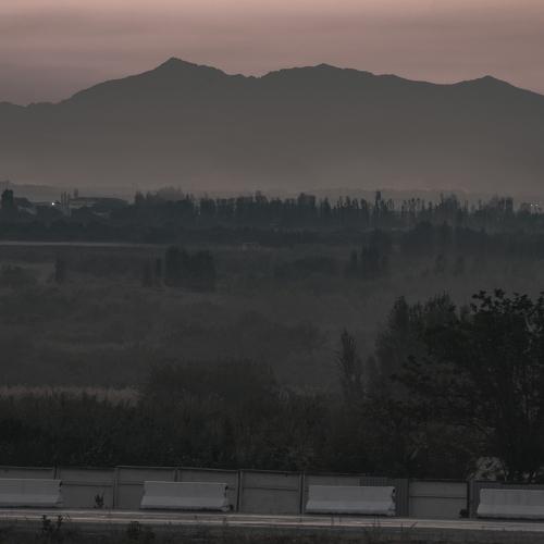 Photo #3709866