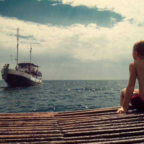 Photo #3709945