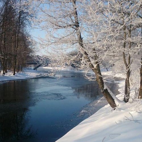 Photo #3710383