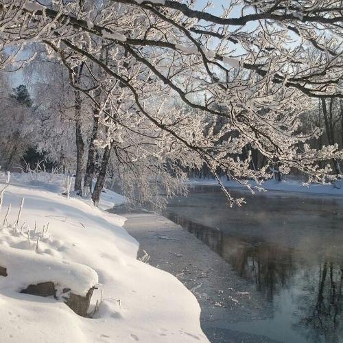 Photo #3710386