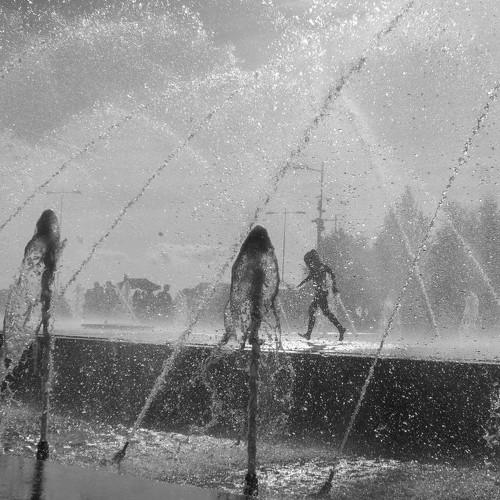 Photo #3710405