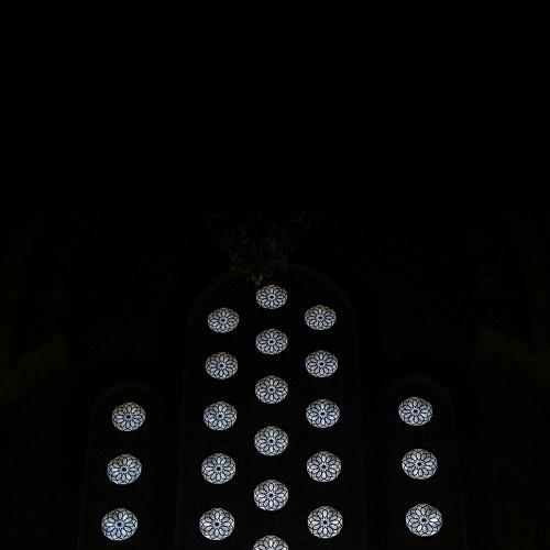 Photo #3711083