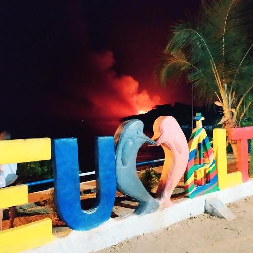 Photo #3711105