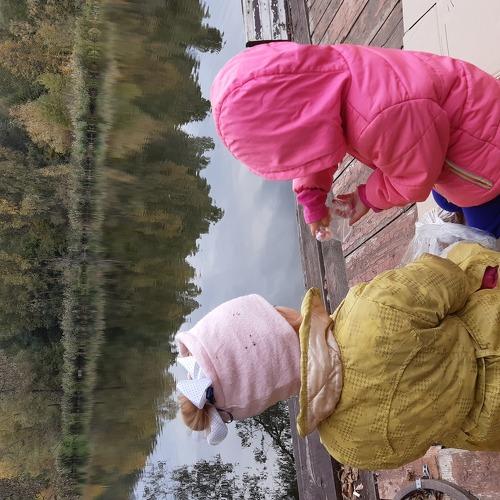 Photo #3711418