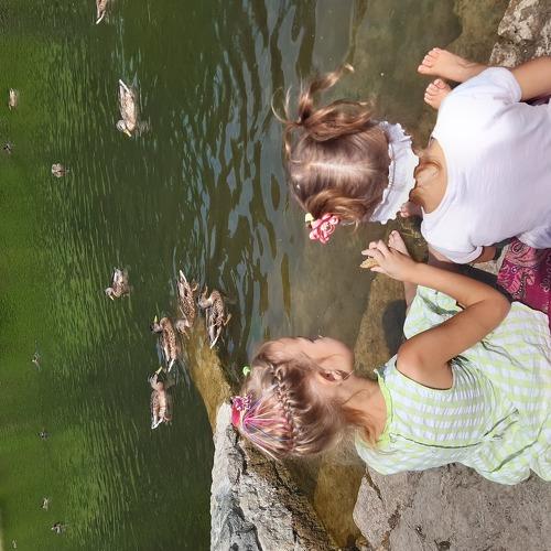 Photo #3711422