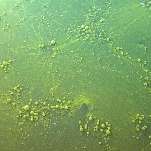 Photo #3711425