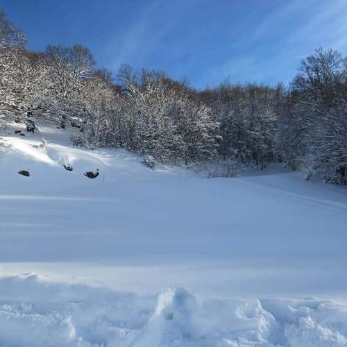 Photo #3712126