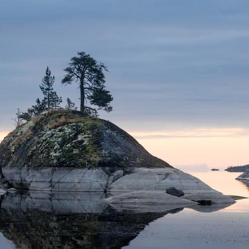 Photo #3712529