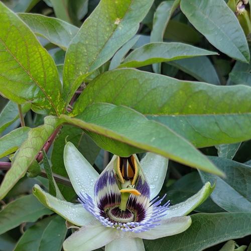 Photo #3712755