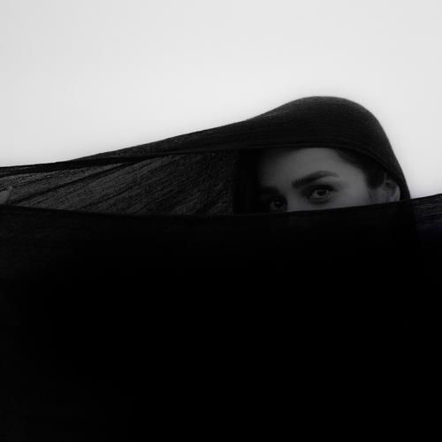Photo #3713644
