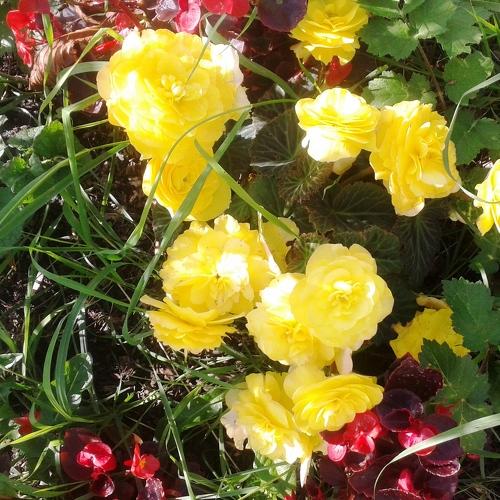 Photo #3713868