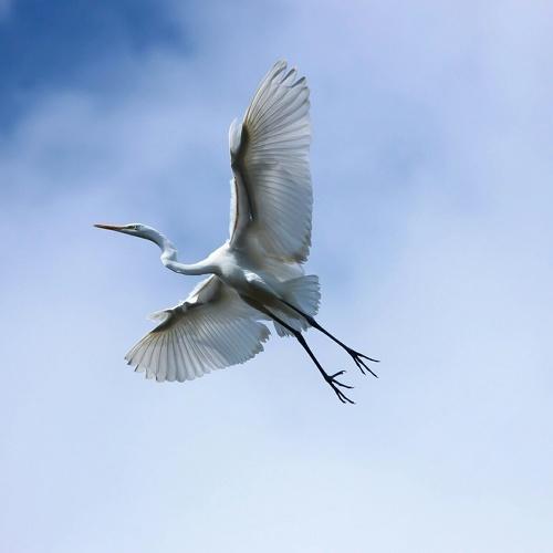 Photo #3713967