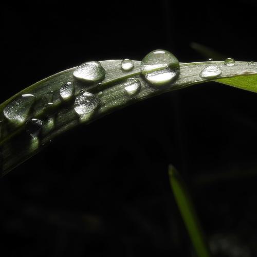 Photo #3714065