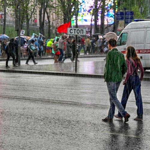 Photo #3714369