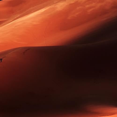 Photo #3714455