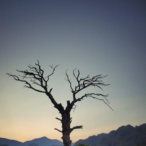 Photo #3714565